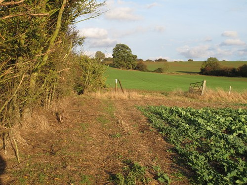 Photo footpath marker south - footpath,