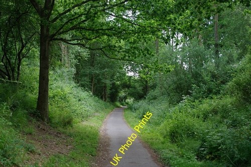 Photo 6x4 cuckoo - photo, trail